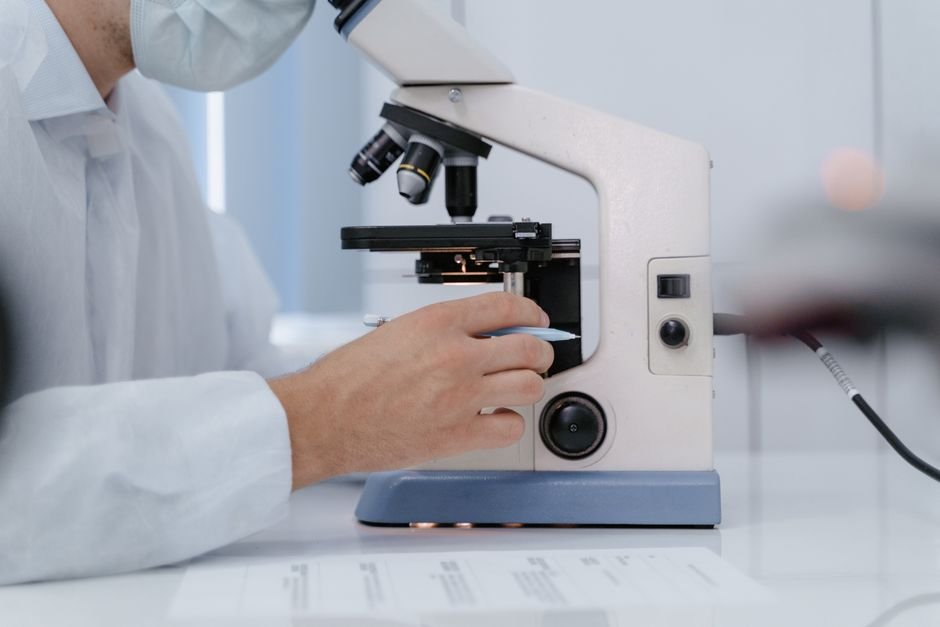 The Enduring Power of Curiosity: Fueling America's Scientific Success