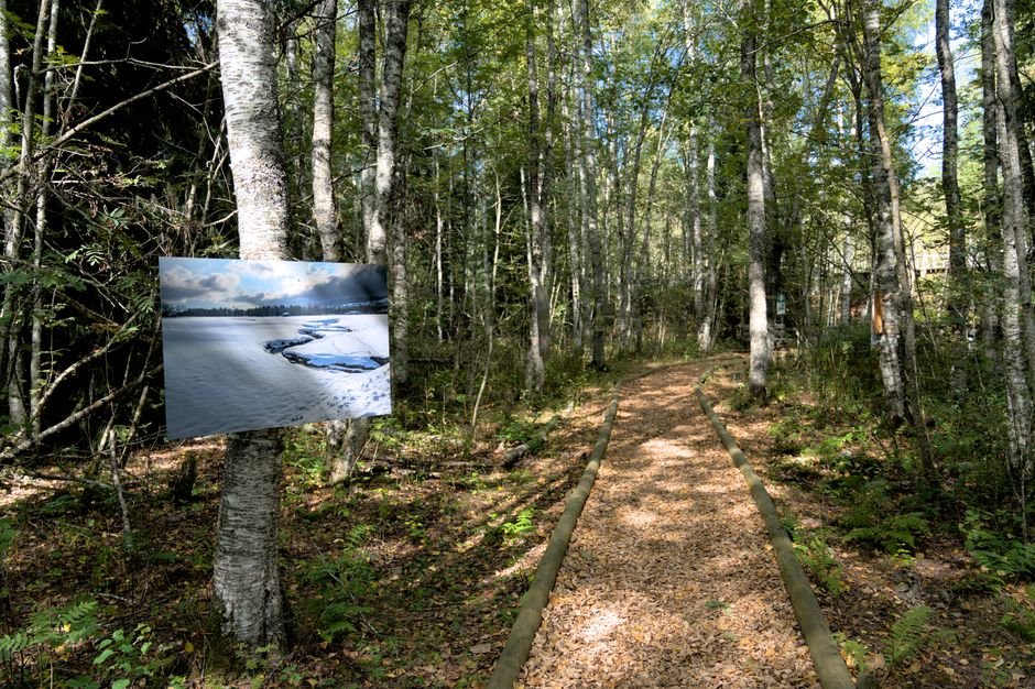 Experience the Appalachian Trail Virtually: Discover A Trail Tale