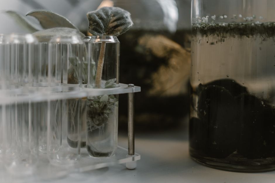 Michael Polansky's Groundbreaking AI Startup: Revolutionizing Skincare with Living Tissue