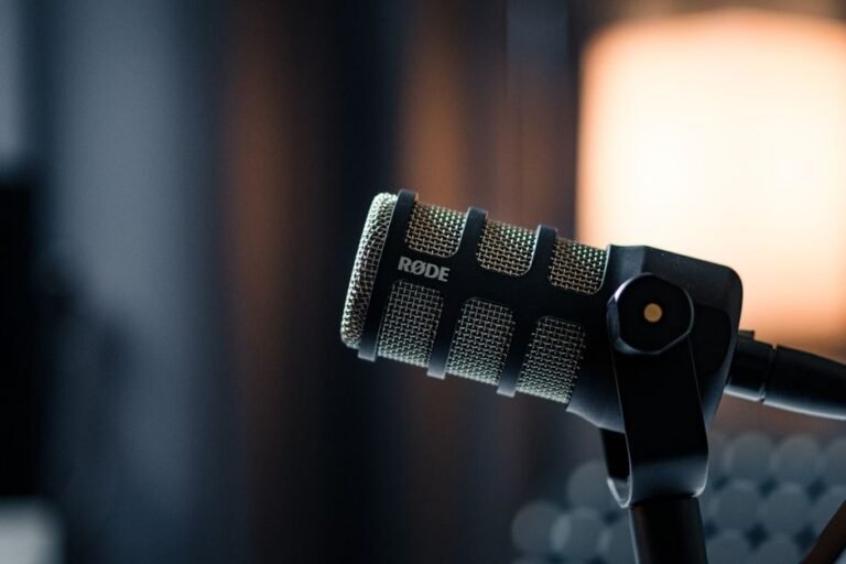 No Dogs in Space: Unpacking the Music History Podcast for Obsessives