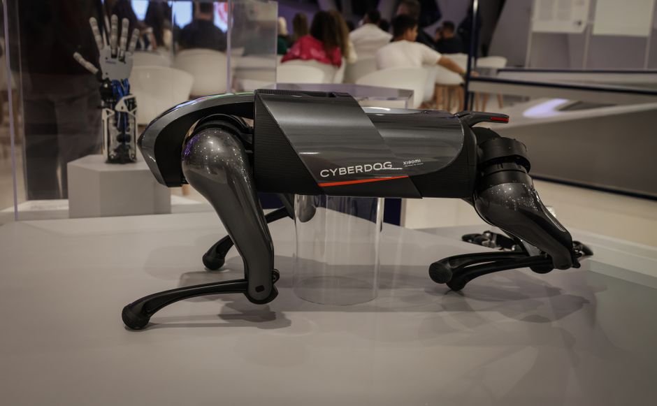 My $4,000 Robot Dog: A Walk on the Wild Side of Public Perception