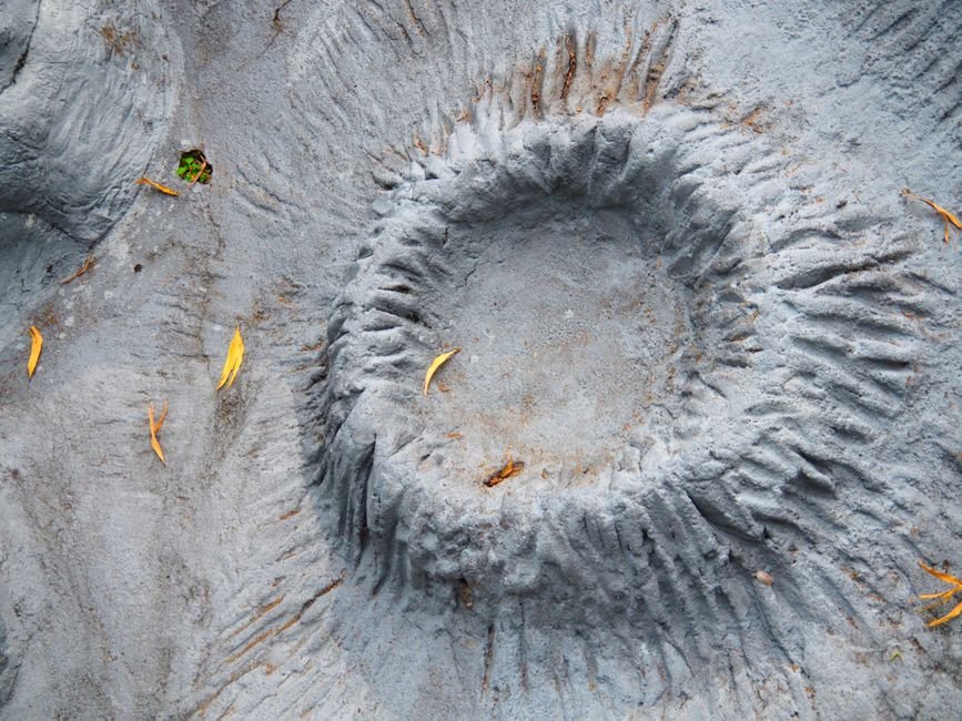 Life's Resilience: How the Dinosaur-Killing Crater May Have Sparked New Ecosystems