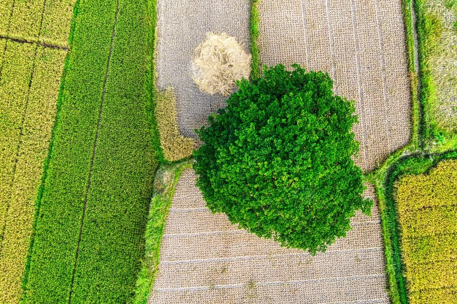 Decision AI Models: Revolutionizing AI with Direct, Actionable Judgments